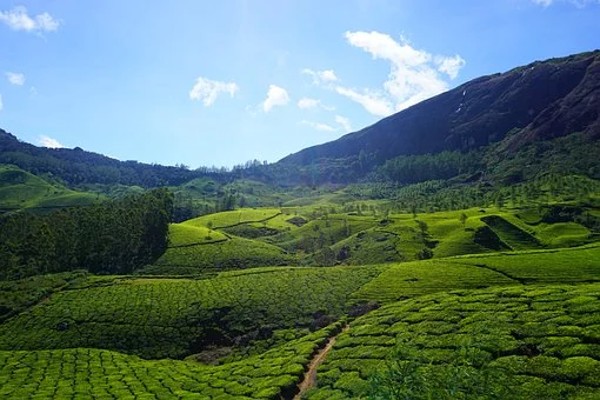 Munnar Tourism Packages